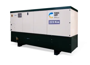 Grupo Electrógeno DW 223 kVA