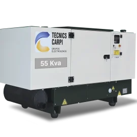 Grupo Electrógeno BD 55 KVA