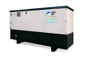 Grupo Electrógeno BD 250 KVA