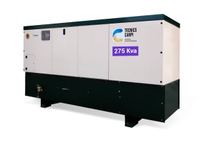 Grupo Electrógeno BD 275 KVA