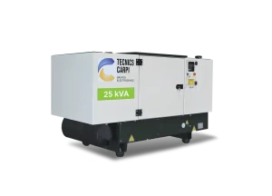 Grupo Electrógeno TYD 25 kVA
